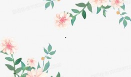 藤蔓植物爆料图片欣赏视频,带你领略自然之美